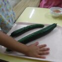 DSCF6063 　きゅうりのサイズ