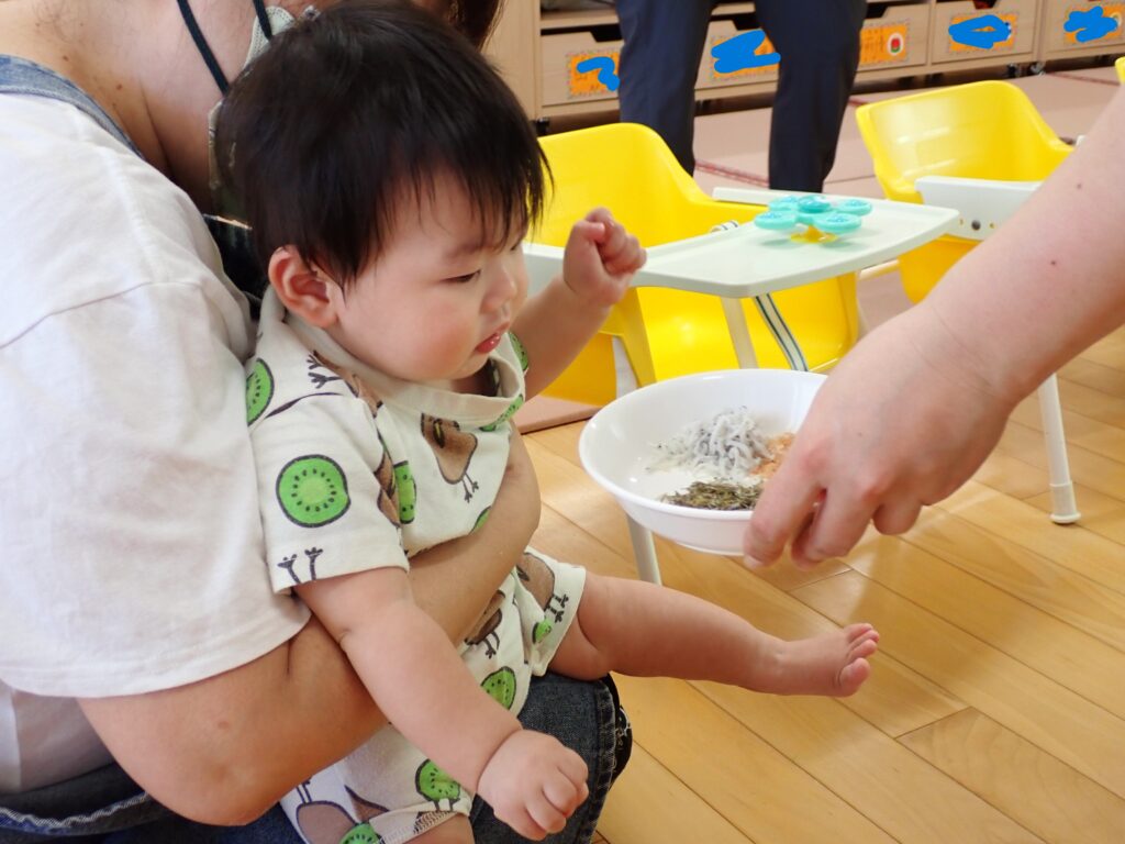 材料をみている　つぼみ