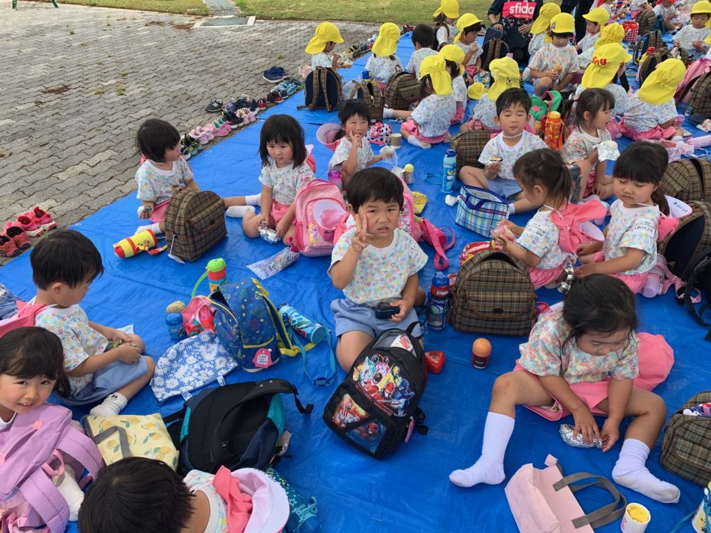 こすもす1