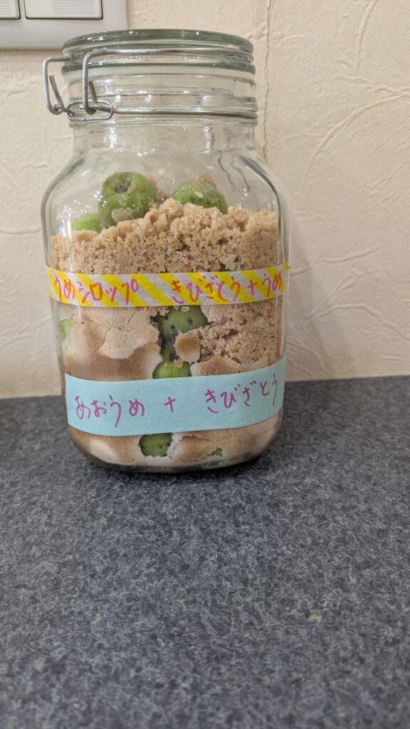 きび砂糖　うめ