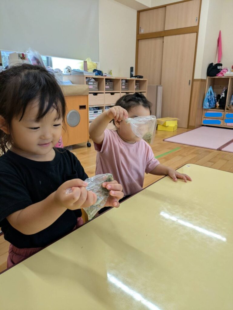 ふりふり ④