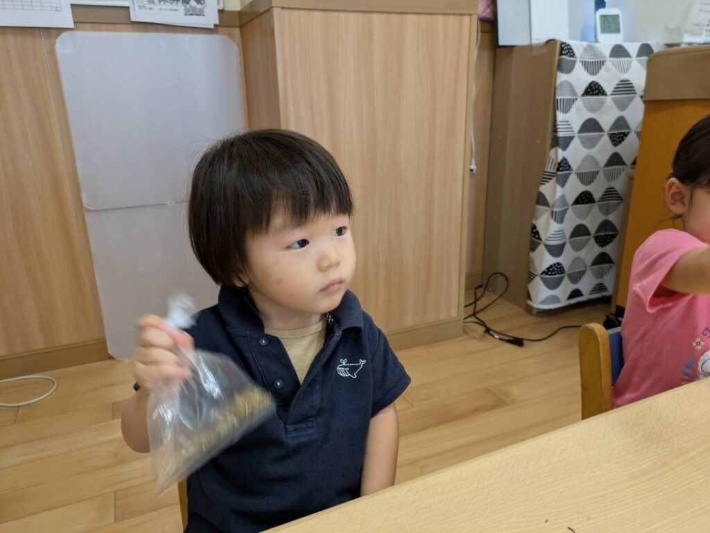 ふりふり ②