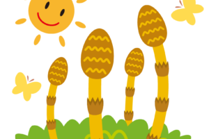 kisetsu3gatsuKeichitsu_009